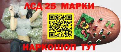 apvp Заводоуковск