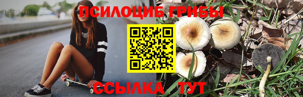 Галлюциногенные грибы прущие грибы Десногорск